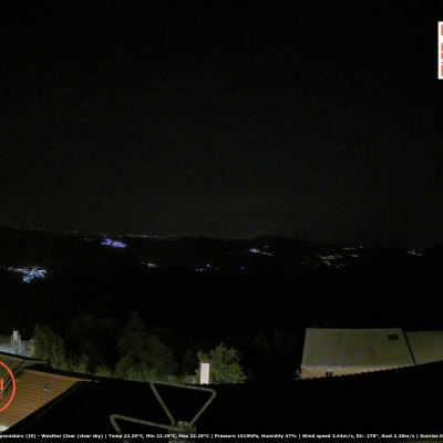 29